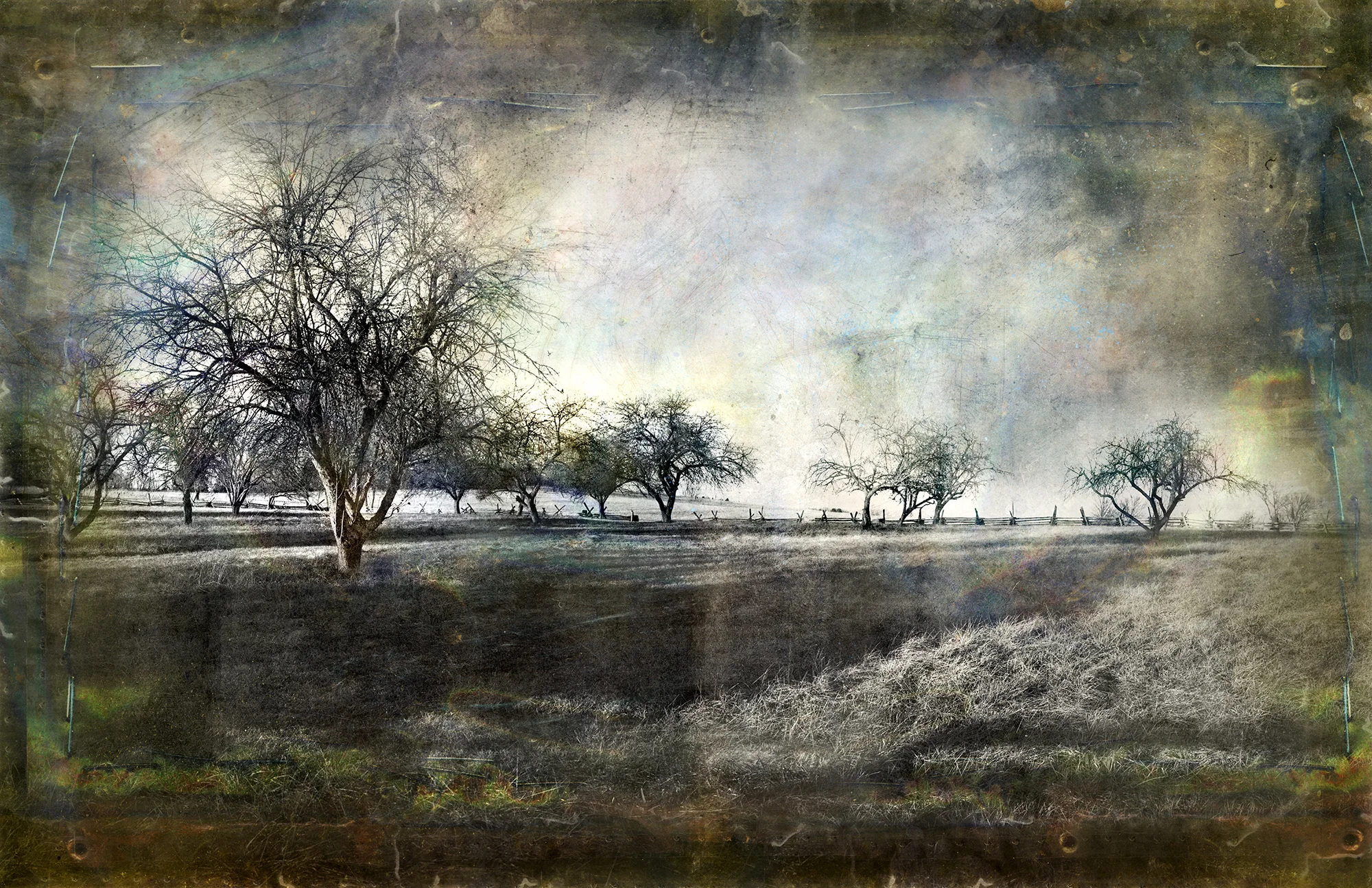 David Douglas - Mixed Media Artist | Iris Gallery | Contemporary